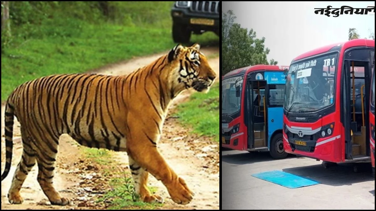 पर्यटकों को अब और भी लुभाएगा भोपाल...रातापानी टाइगर रिजर्व और औबेदुल्लागंज तक दौड़ेंगी BCLL की बसें