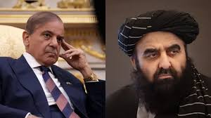 अफ़ग़ानिस्तान-पाकिस्तान संघर्ष: दोहा में बातचीत से लेकर ट्रंप का बयान, जानिए पांच बड़ी बातें