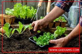  प्रदेश के विकास में उद्यानिकी का भी महत्वपूर्ण योगदान